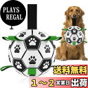 【送料無料】Healthman ストラップ付き犬用おもちゃボール、インタラクティブな犬用おもちゃ、水、庭、屋外用の楽しい犬用フットボール サイズ:Large