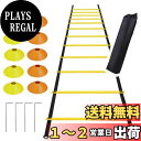【送料無料】USK STORE ラダー トレーニング マーカーコーン 10個 セット 収納袋 6m ラダートレーニング 自主練 サッカー 野球 バスケ テニス 瞬発力