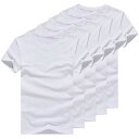 【送料無料】Hisitosa インナーシャツ メンズ 肌着 5枚組 Tシャツ 半袖 クルーネック 防菌防臭 綿100% シャツ 下着 クセになる肌触り 色:ホワイト、サイズ:M