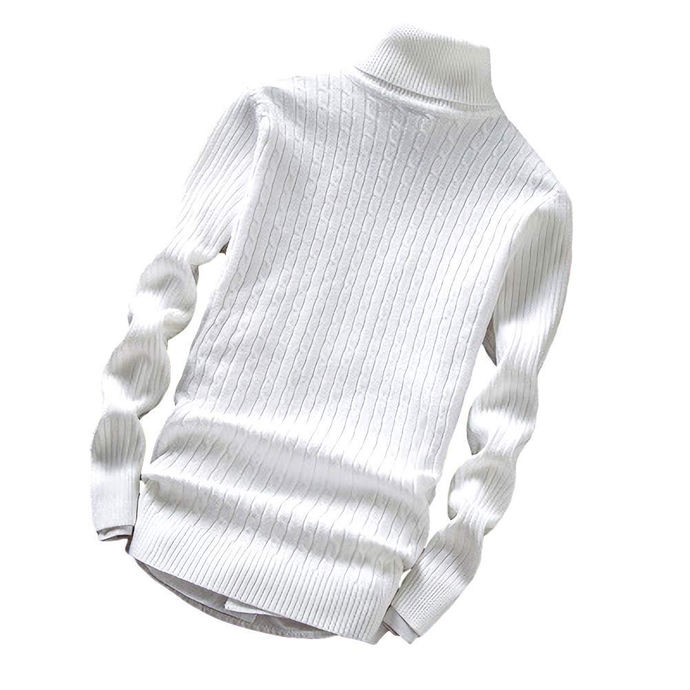 【送料無料】[aspersio] [アスペルシオ] ハイネック スリム ケーブル ニット セーター メンズ 色：ホワ..