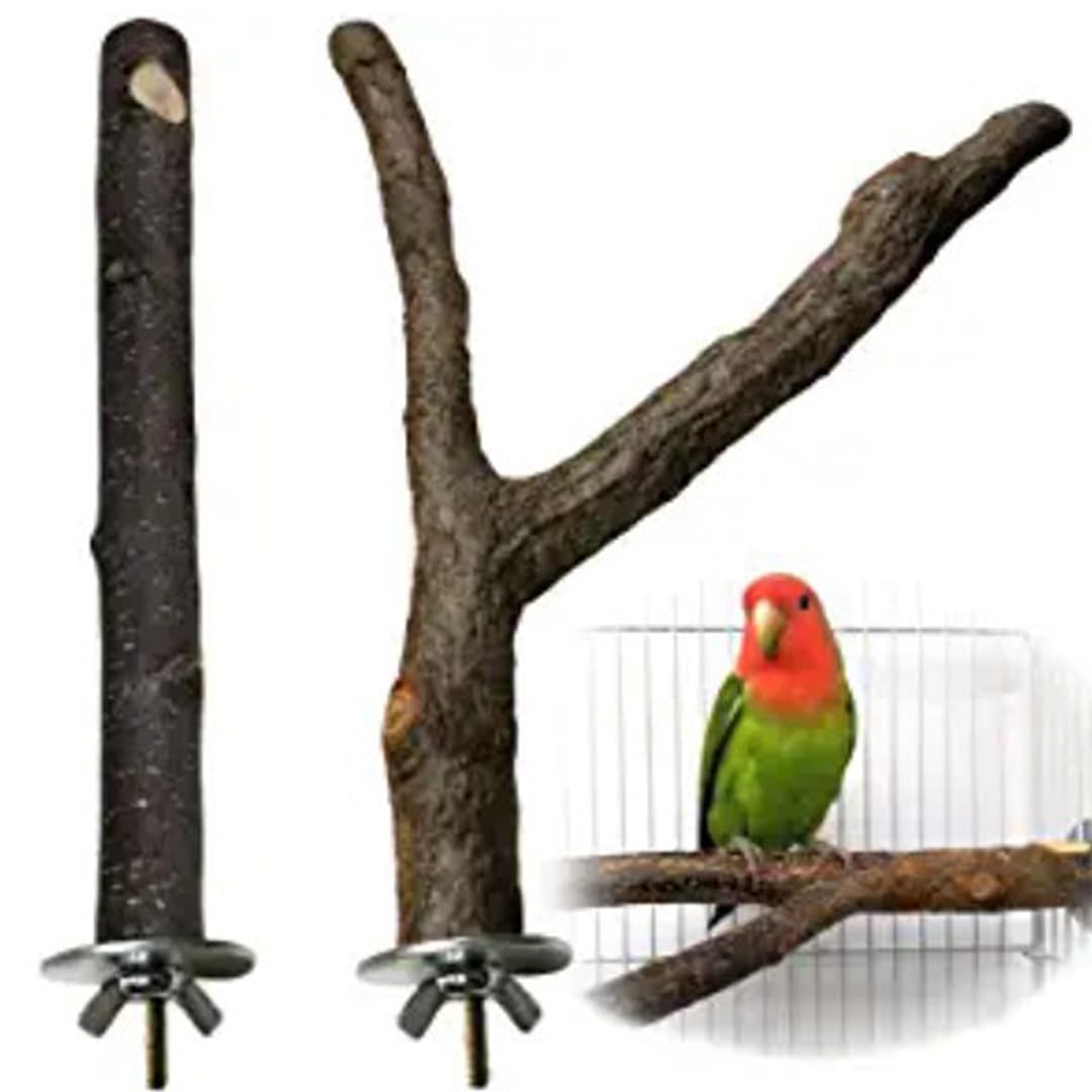 【送料無料】No Title 色：15cm