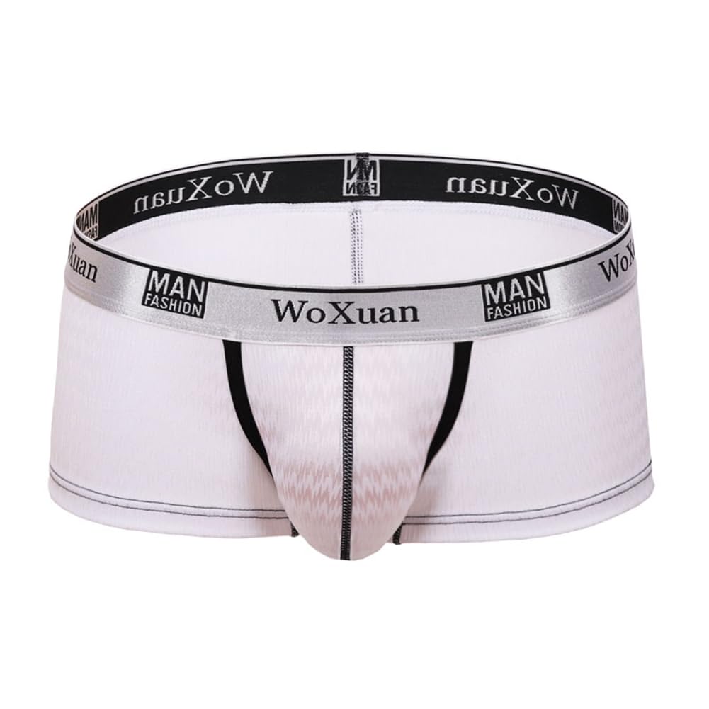 【送料無料】[Pastinde] ウェーブ シャイニー ボクサー 光沢 ローライズ キラキラ スタイル 3D 速乾 ド..