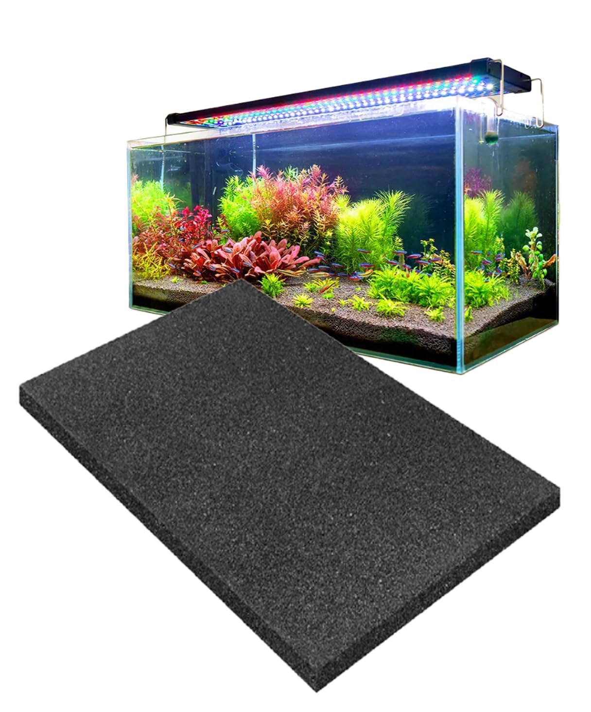 PLAYS REGAL㤨̵֡S.fields.inc 她ݥ󥸥ե륿    30402cm ꥦ ɲ 쥿פβǤʤ2,476ߤˤʤޤ