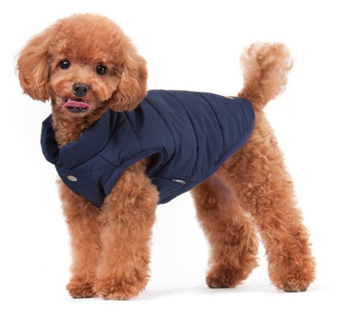 【送料無料】Emfay ペット服 犬服 コート ジャケット ダウン ボタン留めタイプ 防寒 冬服 ドッグウェア 色:コン、サイズ:M