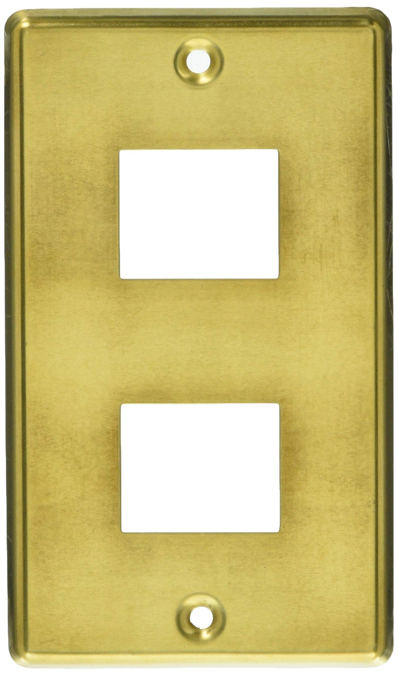 【送料無料】ファッションプレート WALL_PLATE 色：真鍮、サイズ：2個口用