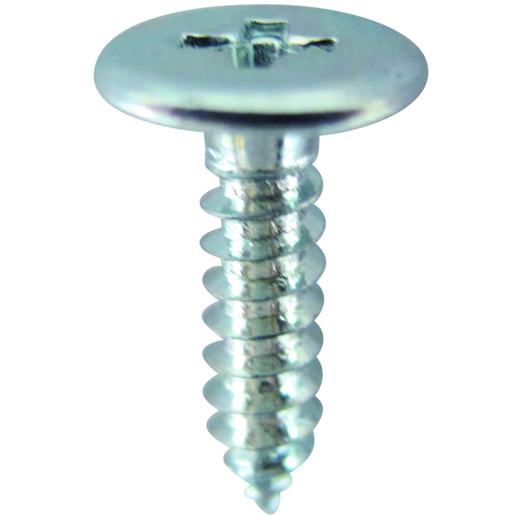 PLAYS REGAL㤨̵֡ۥɡϥ (DAIDOHANT (䶯ʪ 1x4 (Х ݡ ̵ϡѥӥ 12mmפβǤʤ1,130ߤˤʤޤ