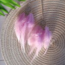 【送料無料】ドリームキャッチャー 車 ペンダント 捕夢網 車飾り 車内 カーアクセサリー インテリア 装飾 贈り物 色:パープル、サイズ:free