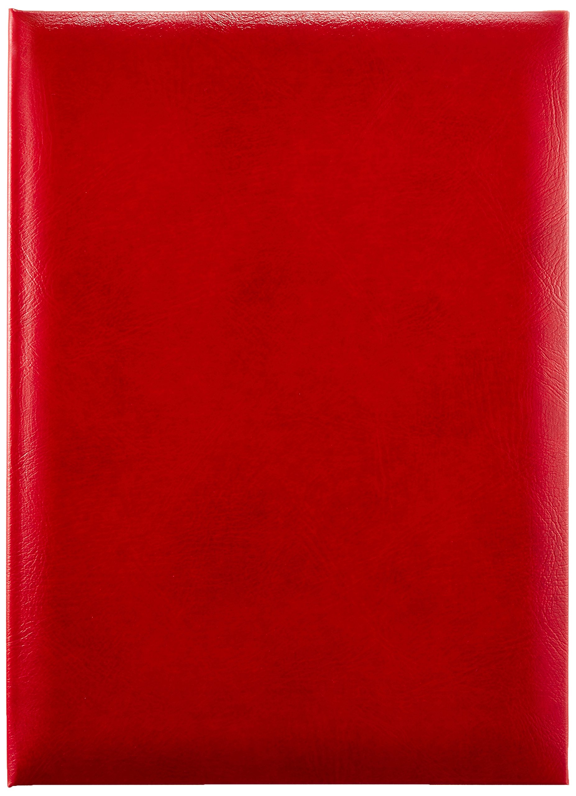 【送料無料】ナカバヤシ 額縁 証書ファイル 賞状ホルダー 色：レッド、サイズ：B5判