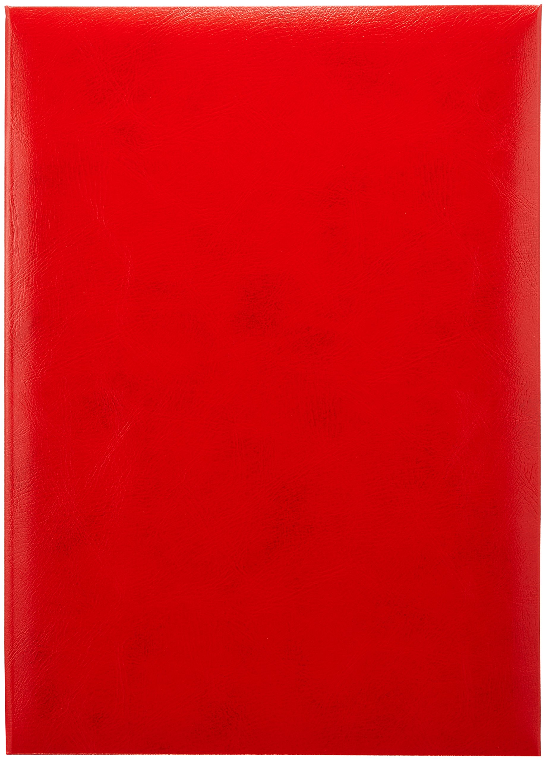 【送料無料】ナカバヤシ 額縁 証書ファイル 賞状ホルダー 色：レッド、サイズ：B4判