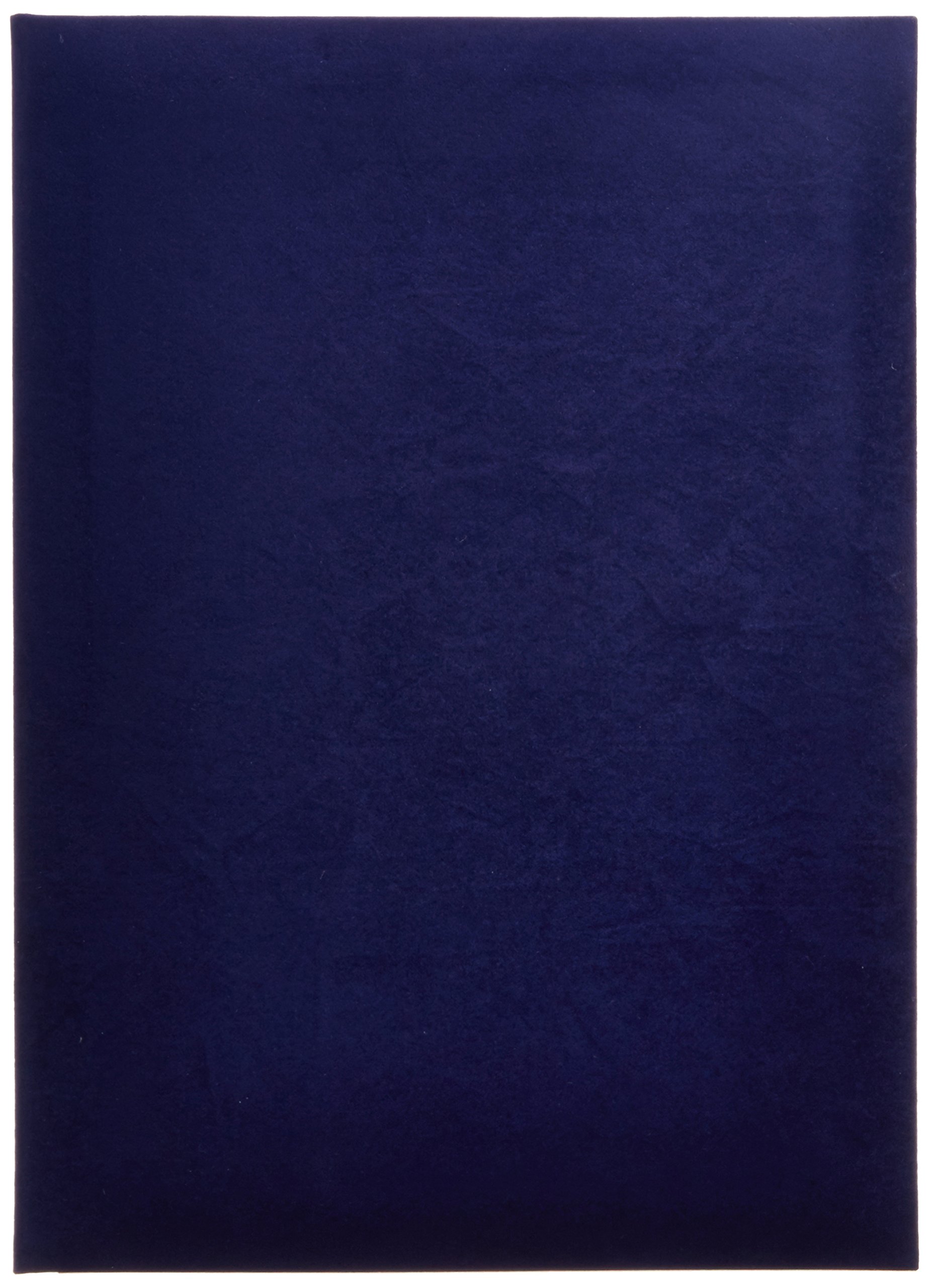 【送料無料】ナカバヤシ 額縁 証書ファイル 賞状ホルダー 色：ネイビー、サイズ：B5判