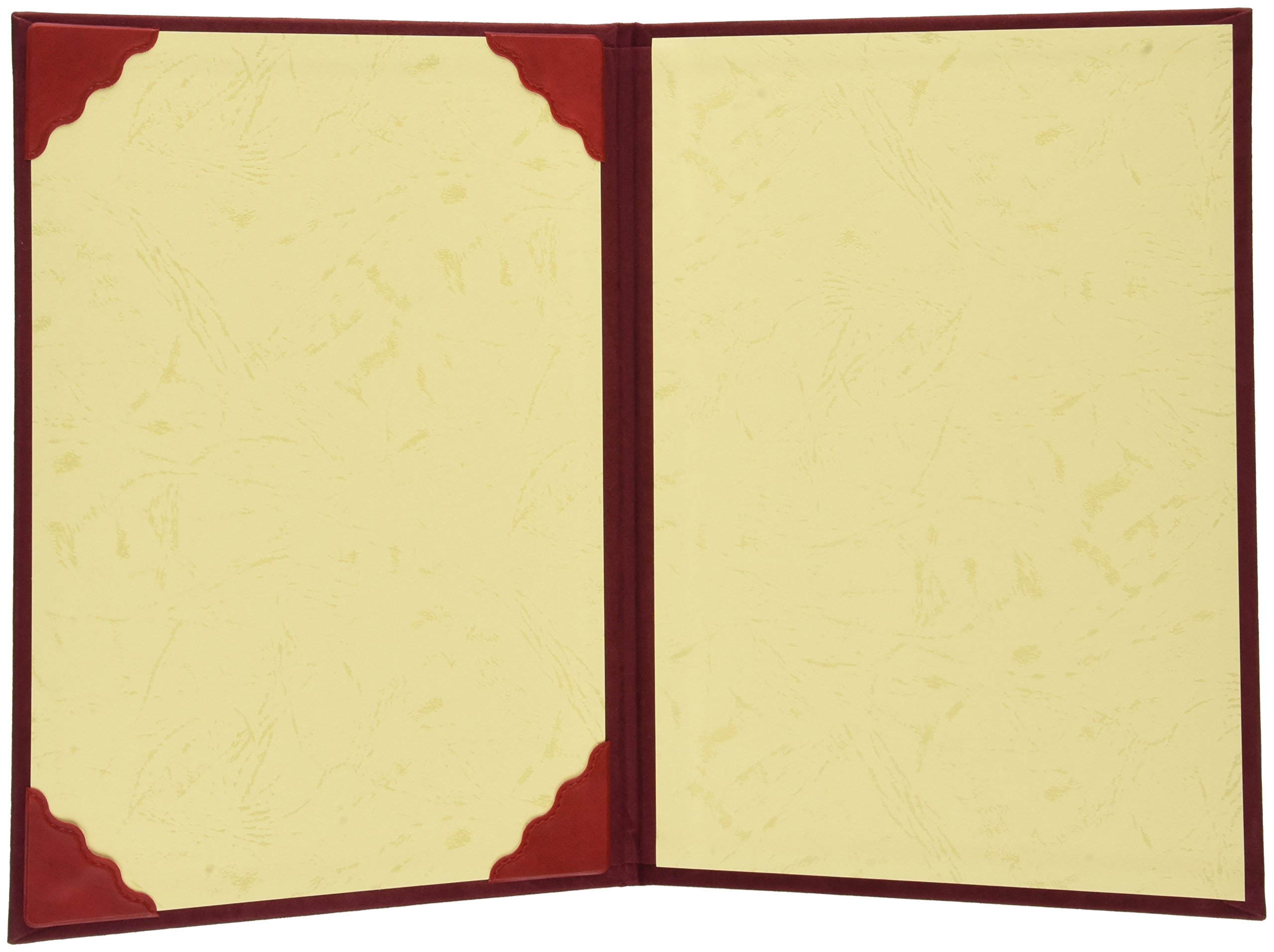 【送料無料】ナカバヤシ 額縁 証書ファイル 賞状ホルダー 色：エンジ、サイズ：B5判