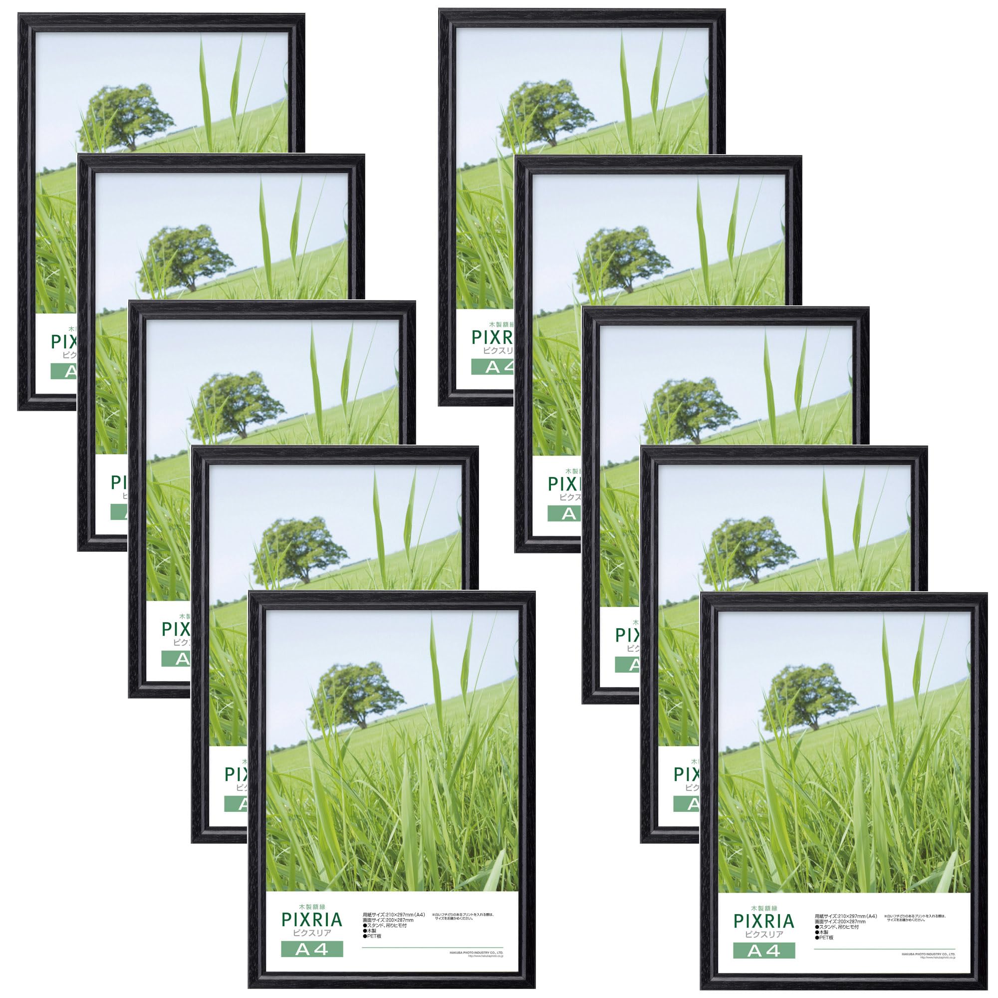 【送料無料】ハクバ 【限定】HAKUBA 木製額縁 ピクスリア ポスターフレーム フォトフレーム 色：ブラック、サイズ：A4