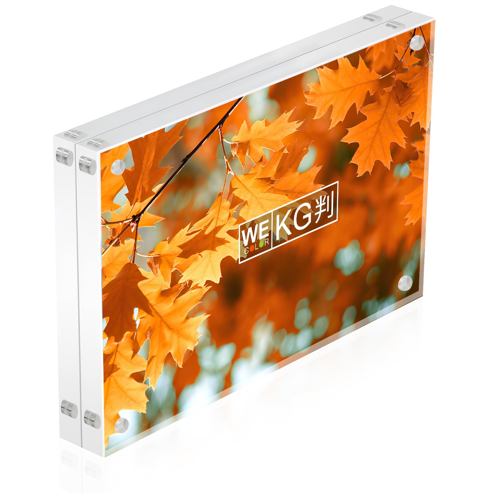 【送料無料】WeColor強力磁石 アクリルフォトフレーム 卓上 色：透明、サイズ：152x102mm KG判