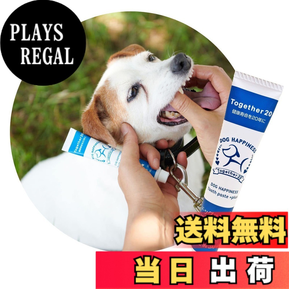 商品情報商品の説明主な仕様 口臭・歯周病菌に効果のある天然成分マスティック配合。※マスティックとは、ギリシャのヒオス島にのみ自生するハーブの樹皮から採取されてる天然成分。古代ギリシャよりその樹液には細菌やバクテリア等から自らを守ると言い伝えられ、その形状からキリストの涙と言われています。こんな方におすすめ：口臭や汚れが気になるけどハミガキを嫌がる。今まで歯磨きガムや歯磨きスプレーで口臭ケアしていたけど、最近口臭や歯垢が気になる。今までいろいろな歯磨き粉を試してみたけど効果が感じられない。使用方法：適量を指または指歯ブラシ等に取り、歯と歯茎をよくマッサージしてください。食事の後や就寝前などにお使いください。歯の生え変わる頃からのご使用をおすすめします。原材料：マスチック樹脂、乳酸菌、パパイン、キトサン、DHA・EPA、オメガ3脂肪酸、ビタミン含有油脂　他　※わんちゃんが飲み込んでも安心な食品原料のみで作られています。犬種：どの犬種にもお使いいただけます（超小型犬・小型犬・中型犬・大型犬）