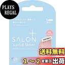【送料無料】Schick(シック) サロンプラス トーンアップ フェイススムーサー ホルダー(刃付き) カミソリ 女性 色:ホワイト
