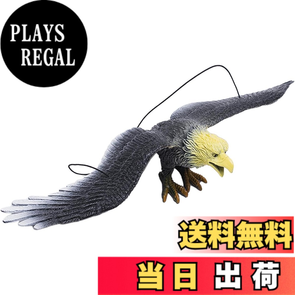 楽天市場】鷲 剥製の通販