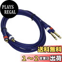 【送料無料】TRUE DYNA トゥルーダイナ オーディオ変換用 ラインケーブル TD-30PRC (3m Phone×2/RCA×2)