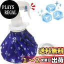 【送料無料】MIYOSA 氷嚢 スプレー付き アイシングバッグ (9 inch) 氷嚢 霧吹き 大口径 水漏れ防止 アイスバッグ ミストスプレー付き 氷のうゴルフ 氷嚢 スポーツ 日常生活 バスケ スポーツ全般 などに使用 繰り返し利用 (ブルー 雪花柄)