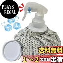 【送料無料】MIYOSA アイシングバッグ 氷嚢 スプレー付き (9 inch) 氷嚢 霧吹き 大口径 水漏れ防止 アイスバッグ ミストスプレー付き 氷のう ゴルフ バスケ 氷嚢 スポーツ 日常生活 スポーツ全般 などに使用 繰り返し利用 (グレー 雪花柄)