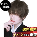 【送料無料】FESHFEN ウィッグ メンズ かつら ショート インナーカラー フルウィッグ 男装 黒 男性 原宿 イケメン ハンサム 自然 小顔 耐熱 人気 ファッション イメチェン 男女兼用 短髪 美男 ネット/櫛付き クールグレー