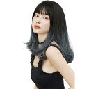 【送料無料】BARSDAR ウィッグ セミロング 巻き髪 インナーカラー フルウィッグ ウェーブ 自然 女装 wig 原宿系 グラデーション お洒落 ファッション 可愛い レディース 小顔 耐熱 ネット/櫛付きき グラデ-スモッグブルー