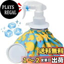 【送料無料】MIYOSA 氷嚢 スプレー付き アイシングバッグ (9 inch) 氷嚢 霧吹き 大口径 水漏れ防止 アイスバッグ ミストスプレー付き 氷のうゴルフ 氷嚢 スポーツ 日常生活 バスケ スポーツ全般 などに使用 繰り返し利用 (アヒル柄)