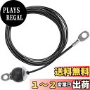 【送料無料】Taeku プーリーケーブル, ヘビーデューティー6mmフィットネス ワイヤーロープ アタッチメント 筋トレ 家庭用 自宅 ジム 交換 ケーブルマシンアクセサリー (2.5M)