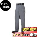 【送料無料】ダイワ(DAIWA) ウェーダーパンツ WP-3000S グレー S