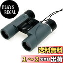 【送料無料】ケンコー(Kenko) 双眼鏡 SG-H 12×24 12倍 24口径 ダハプリズム2軸式 コンパクト 軽量259g 旅行・コンサート用 012772