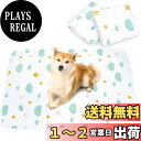 【送料無料】ULIGOTA 洗える ペットシーツ 犬 猫用 おしっこマット ペットマット 下敷きマット 洗える 速乾 繰り返し使える(雲柄 120×90cm 二枚セット)