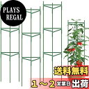 【送料無料】siawadeky 植物支柱 トマト支柱 つる性植物 観葉植物 成長誘引 自由に組み合わせる ガーデニング用支柱 棚支柱セット 園芸支柱 植物サポー...