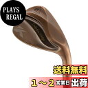 【送料無料】キャスコ ドルフィンウェッジ DW-123 Copper N.S.PRO Zelos6 48