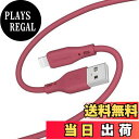 【送料無料】オウルテック ライトニングケーブル 1m【MFi認証】急速充電 データ転送 480Mbps 断線に強い シリコンケーブル 絡まない 高耐久 ケーブルバンド付き USB-A to Lightning ケーブル iPhone/iPad対応 ワインレッド OEC-CBSAL10-WR