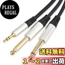 【送料無料】【LCYOUTH】オーディオケーブル 3.5mm to 6.35mm 変換ステレオミニプラグ 2分配 変換ケーブル オス-オス HIFI ナイロン編組 HIFI スマートフォン PC CDプレーヤー スピーカー アンプ 等に適用 (1M)