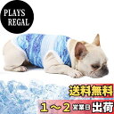 【送料無料】Hakona 犬服 夏 クール ひんやり 冷感ベスト ブルー 冷却ベスト メッシュ 夏服 薄手 涼しい 吸水速乾 超軽量 熱中症対策 暑さ対策グッズ 日焼き防ぐ お出かけ お散歩 クーリングスーツ 小中型犬用 猫用 S