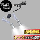 【送料無料】FSLiving 発光ユニット(白) 2灯式 調光機能付き ミニスポットライト ジュエリー ショーケース ディスプレイ 照明器具 ブラックシェル LEDユニット 電飾キット ミニ植物ライト LEDスポットライト