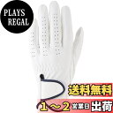 【送料無料】キャスコ(Kasco) ゴルフグローブ palette パレット メンズ SF-2014 ホワイト S