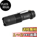 【送料無料】Ochun ブラックライトLED紫外線ライト UV懐中電灯 ピーク波長365nm/395nm 選択できる 汚れ探し ペットのオシッコ探し 真贋判定 鉱物・宝石の趣味観察 蛍光剤確認(365nm)