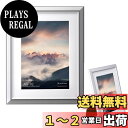 【送料無料】ハクバ HAKUBA 額縁 アルミ AG-02 2L スタンド付 シルバー FAG2-SV2L