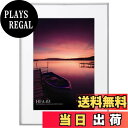 【送料無料】ハクバ HAKUBA 額縁 アルミ HFA-03 ワイド4切 シルバー HFA-03SV-W4