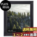 【送料無料】ハクバ HAKUBA 額縁 アルミ AG-02 全紙 アクリル板 ブラック FAG2-BKZ