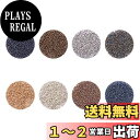 【送料無料】PH PandaHall 約16000個/セット 10色 カラフル ガラスビーズ シード 丸小 ビーズ ケース付き アクセサリーキット ビーズキット ネイルコレクション デコパーツ DIY ジュエリー用 ハンドメイド 手芸 パーツ レジン封入 材料 素材 UVレジン レジンアクセサリー