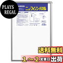 【送料無料】ハクバ 【.co.jp限定】HAKUBA 額縁 ニューファンシーパネル A3ノビサイズ シルバー ポスターパネル アルミフレーム 差し込みタイプ 前面PET板採用 FNFP-A3N