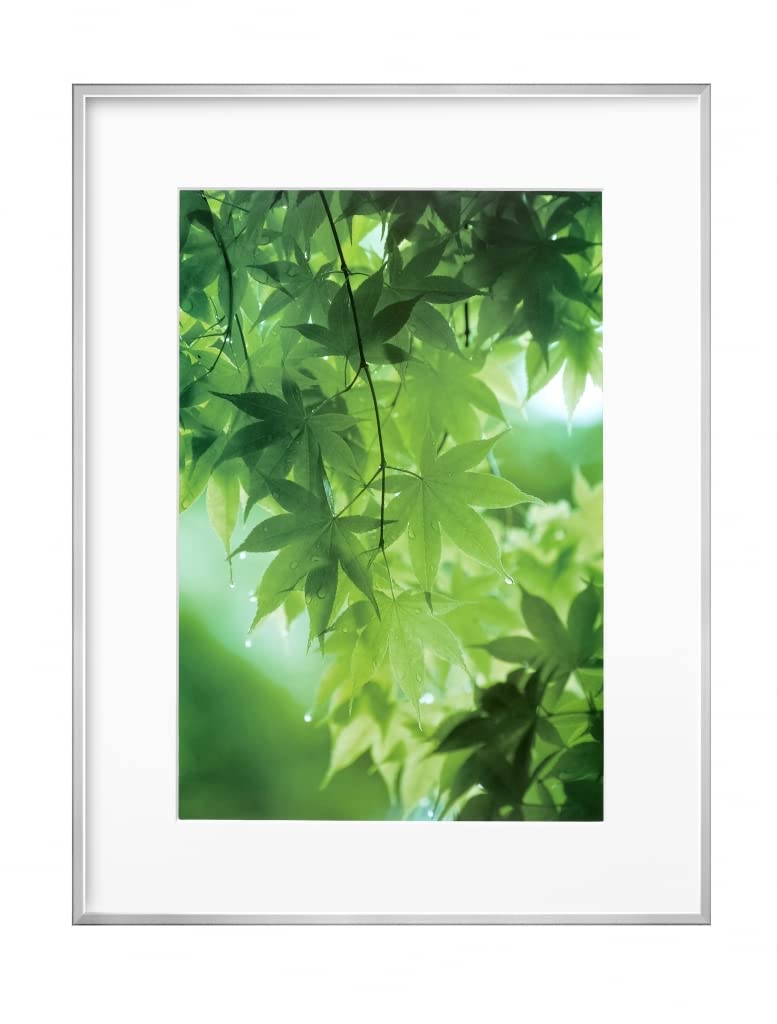 【送料無料】ハクバ HAKUBA 軽量 額縁 ZEROフレーム G-01 A3ノビ シルバー FZG01-A3NSV