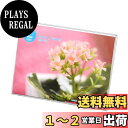【送料無料】ハクバ HAKUBA フォトフレーム アクリル フレーム L サイズ ヨコ L 1面 アクリル FACL-LY