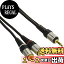 【送料無料】エルパ (ELPA) 3.5ステミニ-P2 オーディオケーブル 1m AD-300