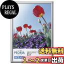 【送料無料】ハクバ 【.co.jp限定】HAKUBA アルミ額縁 ペオリア A3ノビサイズ シルバー ポスターフレーム フォトフレーム 前面PET板 吊り紐付きFAPE-SVA3N