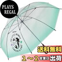 【送料無料】スケーター(Skater) ビニール傘 長傘 60cm ディズニー アリエル UBV1N-A
