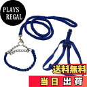 【送料無料】編込み タイプ チョーク 首輪 ハーネス リード 【DauStage】 小型犬 中型犬 大型犬 トートバッグ 付き 4点セット (S, ブルー)