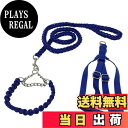 【送料無料】編込み タイプ チョーク 首輪 ハーネス リード 【DauStage】 小型犬 中型犬 大型犬 トートバッグ 付き 4点セット (M, ブルー)